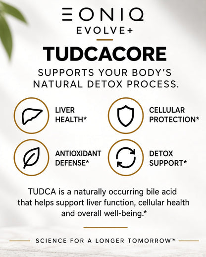 TUDCACORE | TUDCA 250mg | 60 Capsules